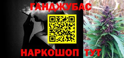 бошки Шелехов