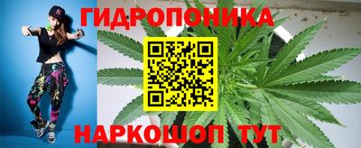 бошки Шелехов
