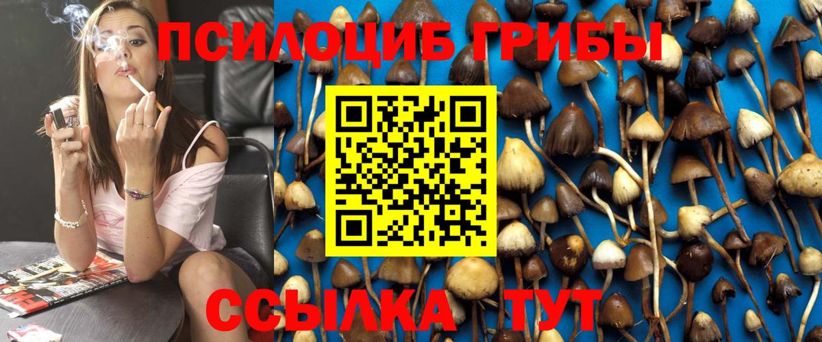 Псилоцибиновые грибы ЛСД Кропоткин