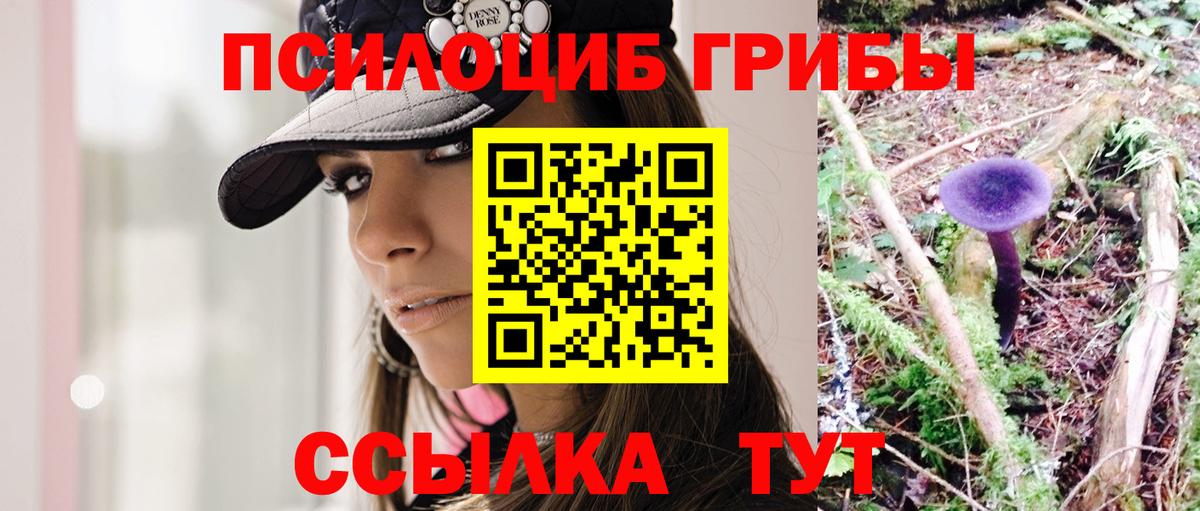 Кропоткин  Галлюциногенные грибы Psilocybine cubensis  Вход с VPN 